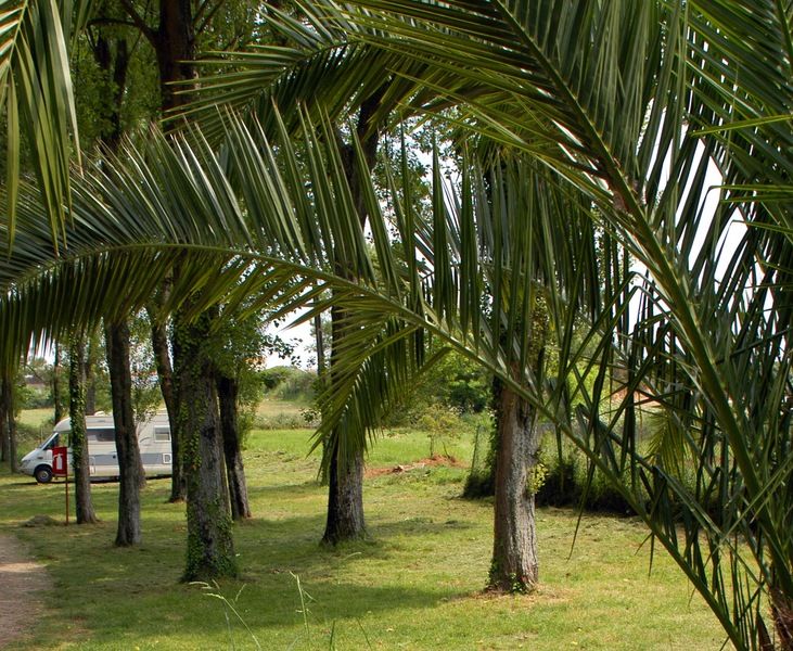 Parque De Campismo Orbitur Angeiras Hotel Екстериор снимка